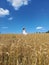 Vertical shot of a young female in a dress in a sunlit wheat field