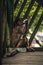 Vertical shot of a young macaque playing with a plastic bottle in a wooden cage