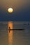 Vertical silhouette of canoes on Niger River 2