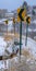 Vertical Snowy road with directional road signs in winter