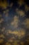 Vertical soft focus of a beautiful starry sky with clouds