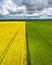Vertical sot of symmetrical green and yellow fields under a cloudy stormy sky
