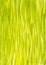 Vertical spring grass background painted with gouache