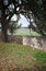 Vertical: Stone fence with wooden gate under live oak tree in the Texas Hill Country