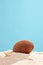 Vertical studio shot of a coconut in sand