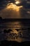 Vertical of swans swimming in a beautiful lake at sunset with sunbeams coming from the cloudy sky