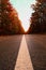 Vertical symmetric shot of a highway road through a dramatic autumn forest