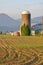 Vertical Tall Grain Farm Silo