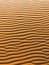 Vertical texture of sand dune. Abstract shape, background. Sahara desert.