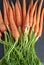 Vertical top view of bunch of carrots