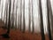 Vertical tree shadows in autumn mystery fog mountain forest, Italy