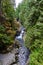 vertical twin tails falls in washington stae summer months with river and forest