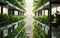 Vertical urban farm inside a modern building for sustainable plant growth and food production. Generative AI