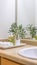 Vertical Vanity area of bathroom with close up view of towels and plants beside the sink