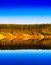Vertical vibrant wood forest river reflections landscape