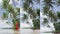 Vertical Video of Beach Vacation Travel Holidays in French Polynesia Bora Bora
