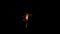 Vertical video. Christmas sparkler Isolated On Black. Fuse Burning