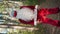 Vertical video. Funny Santa Claus costume with two medical masks on his face in forest. Christmas and coronavirus. Covid-19.