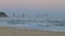 Vertical Video Gold Coast Skyline from the Beach