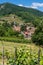 Vertical view of the Alsatian village of Ribeauville surrounded by vineyards and rolling hills on a beautiful summer day