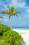 Vertical view of the beautiful tropical beach with palm tree, ocean, sand at the island