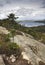 Vertical View from Bubble Rock in Acadia, Maine