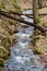 A Vertical View of a Cascading Stream at Douthat State Park, VA, USA