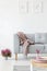 Vertical view of comfortable grey couch in bright living room interior with heather in pot and graphics i