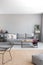 Vertical view of elegant grey living room, real photo with copy