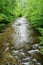 Vertical View of Jennings Creek a Popular Trout Stream