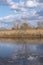 Vertical view of a marshy area in the Bosco di Tanali nature reserve, Bientina, Italy