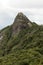 Vertical view of a mountain rock face with some trees under white cloudy - pico e serra do lopo