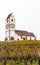 Vertical view of a picturesque white country church surrounded by golden vineyard pinot noir grapevine landscape