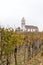 Vertical view of a picturesque white country church surrounded by golden vineyard pinot noir grapevine landscape