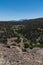 Vertical, the view from Pinon Campground in New Mexico