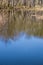 Vertical View of Reflections in a Woodland Marsh