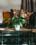 Vertical view of a Spathiphyllum wallisii plant on a table by the sofa