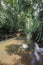 Vertical view of a Sri Lankan tributary river with small amount of water flowing