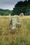Vertical view of the standing stone alignments of Carnac in Brittany