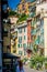 Vertical View of a Street in the Colored Town of Riomaggiore