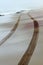 Vertical view of a vehicle track on the sandy coastline in the morning