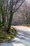 Vertical view of where a stone road ends and a mountain road begins with a bend and forest in a sunset