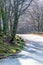 Vertical view of where a stone road ends and a mountain road begins with a bend and forest in a sunset