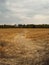 Vertical views of a field with stubble, autumn landscape with dramatic sky. Nature, rural view of farmland and plants in