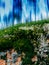 Vertical vivid vibrant moss abstract backdrop