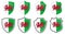 Vertical Wales flag in shield shape, four 3d and simple versions. Welsh icon / sign