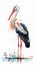 Vertical wallpaper portrait of stork bird