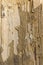 Vertical weathered wood