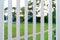 Vertical White Steel Fence Grille front of Garden