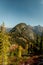 Vertical wide Photo of lush high mountain altitude massive conifer trees off trail with alpine lake below in the North Cascades